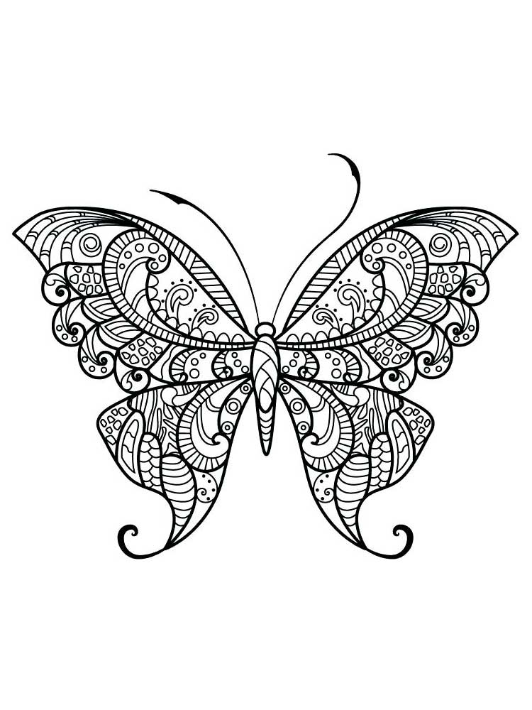 Adorable butterfly mandala coloring page