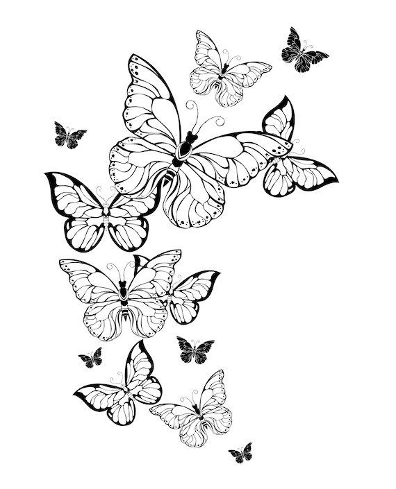 Butterfly coloring pages butterfly coloring book for adults downloadable digital printable