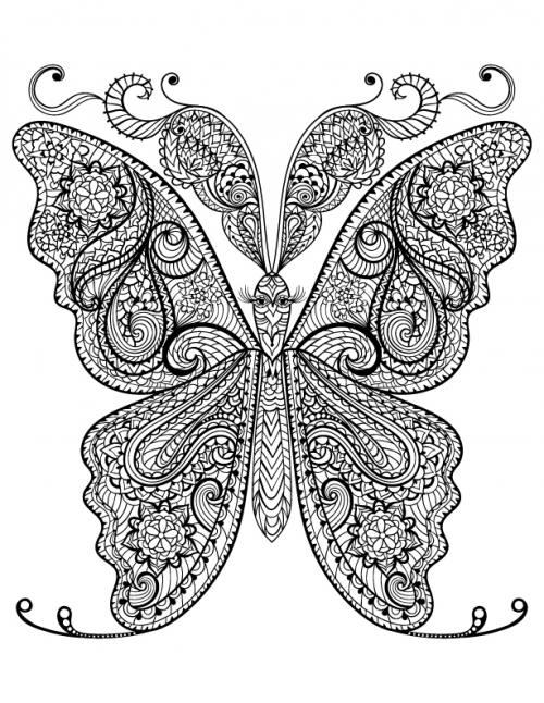 Free adult coloring butterfly page