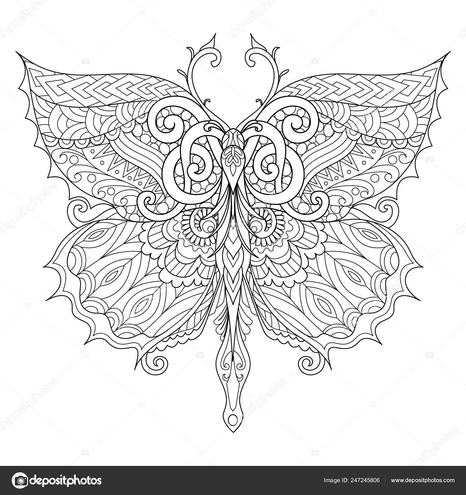 Beautiful butterfly adult coloring book coloring page print shirt other stock vector by somjaicindygmail