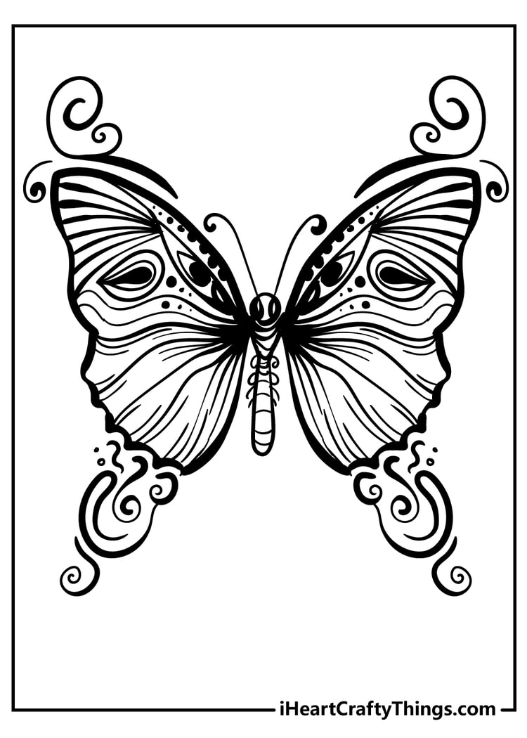 Butterfly coloring pages free printables