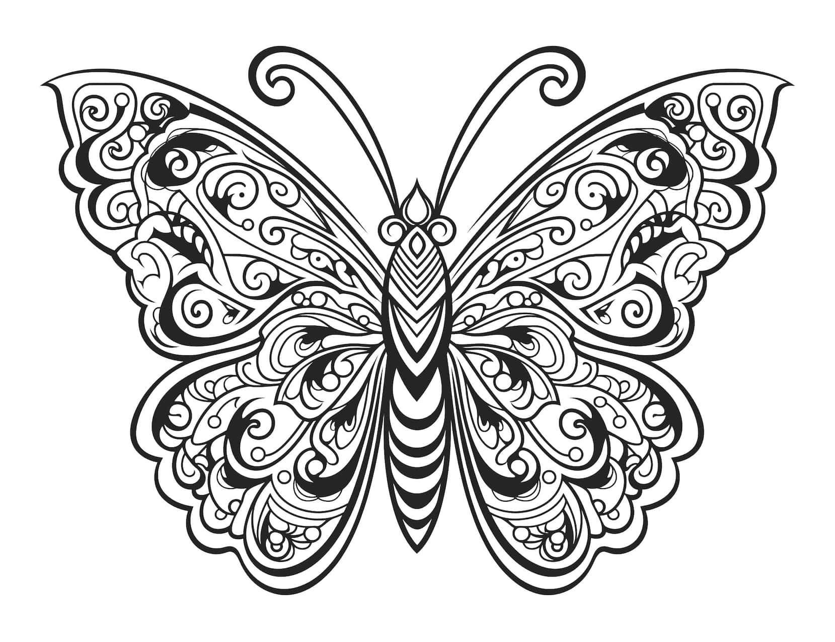 Beautiful butterfly coloring pages for kids and adults