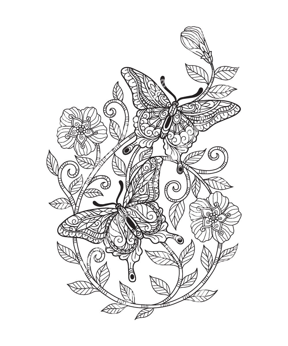 Flowers butterflies adult coloring book