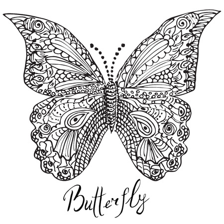 Adult coloring pages butterfly stock vector illustration and royalty free adult coloring pages butterfly clipart