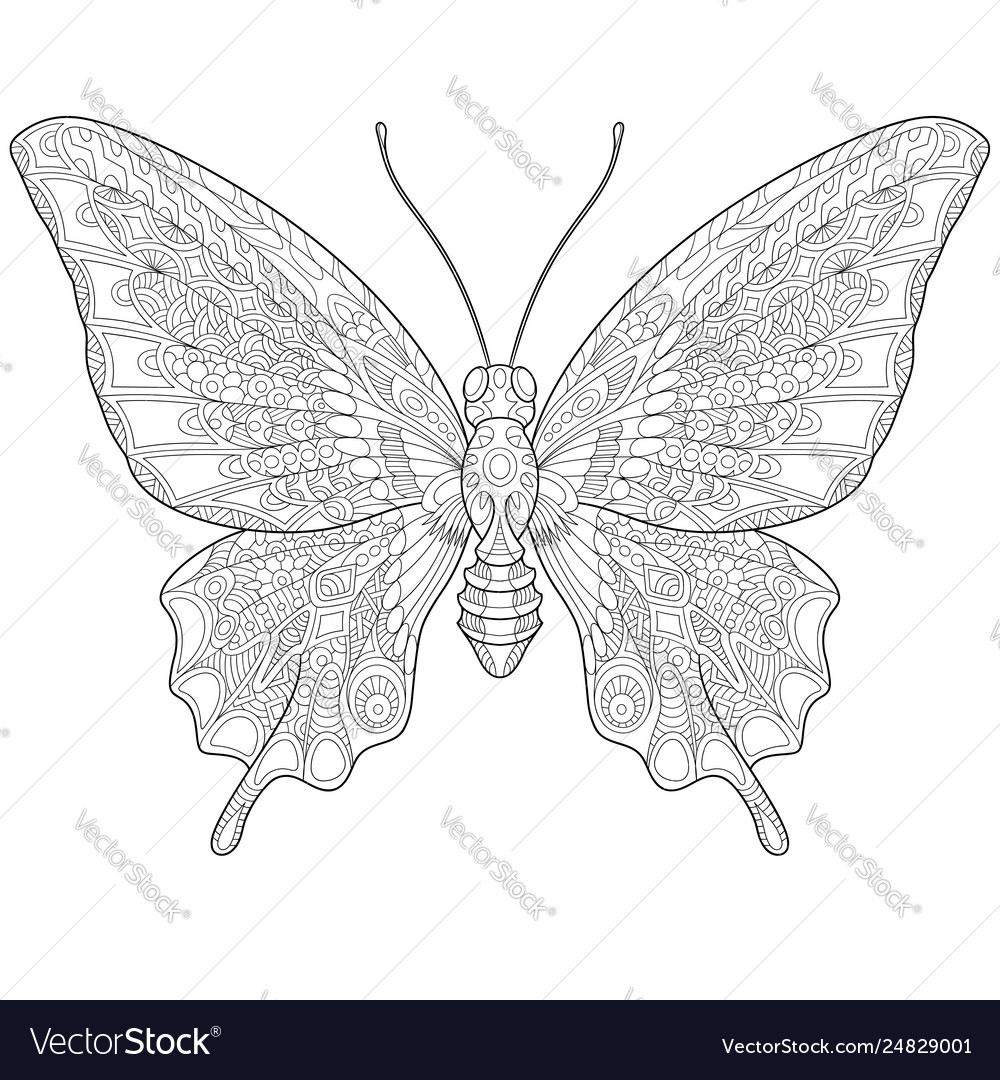 Butterfly adult coloring page royalty free vector image