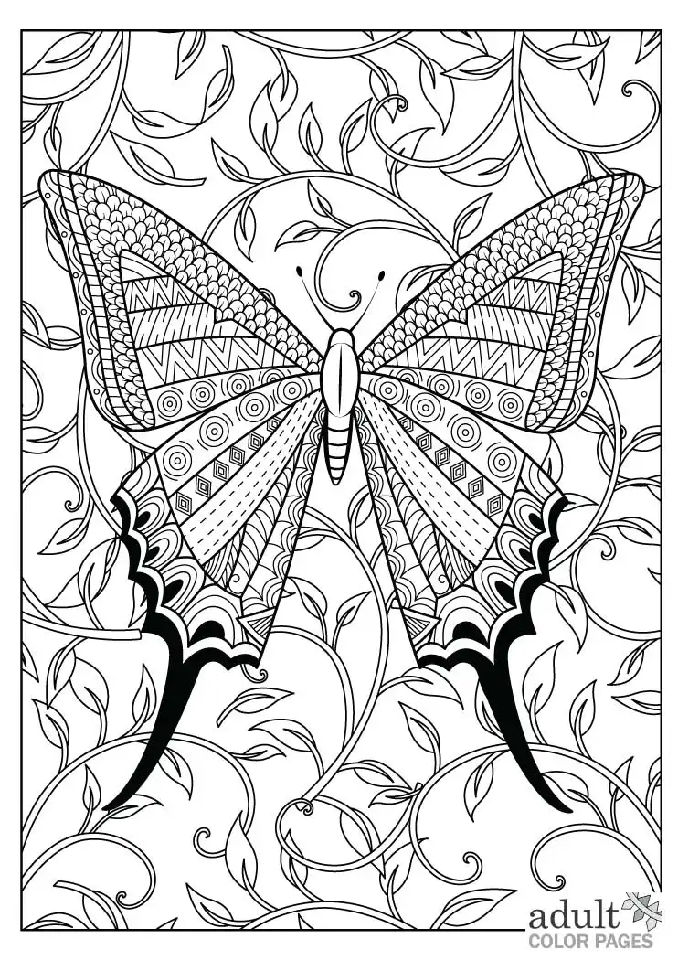 Butterfly coloring pages for adults