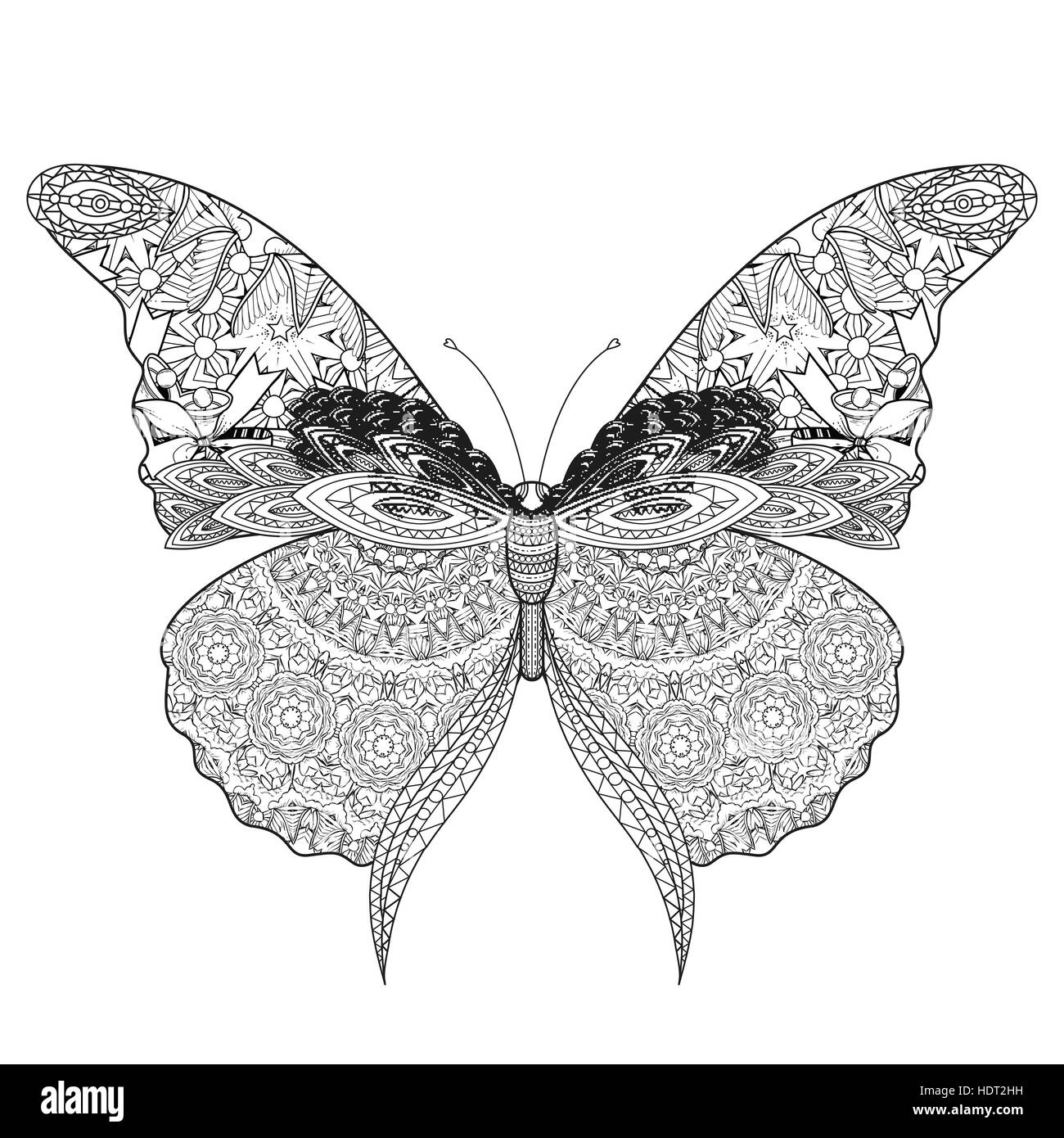 Butterfly coloring page hi