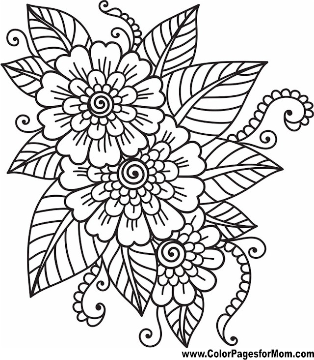 Pin on adult coloring