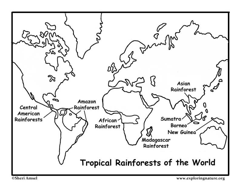 Rainforests of the world coloring page