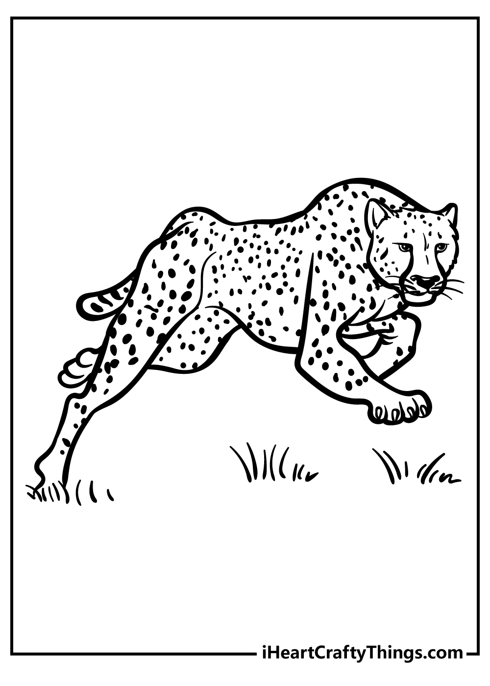 Cheetah coloring pages free printables