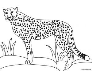 Printable cheetah coloring pages for kids cheetah pictures coloring pages animal coloring books