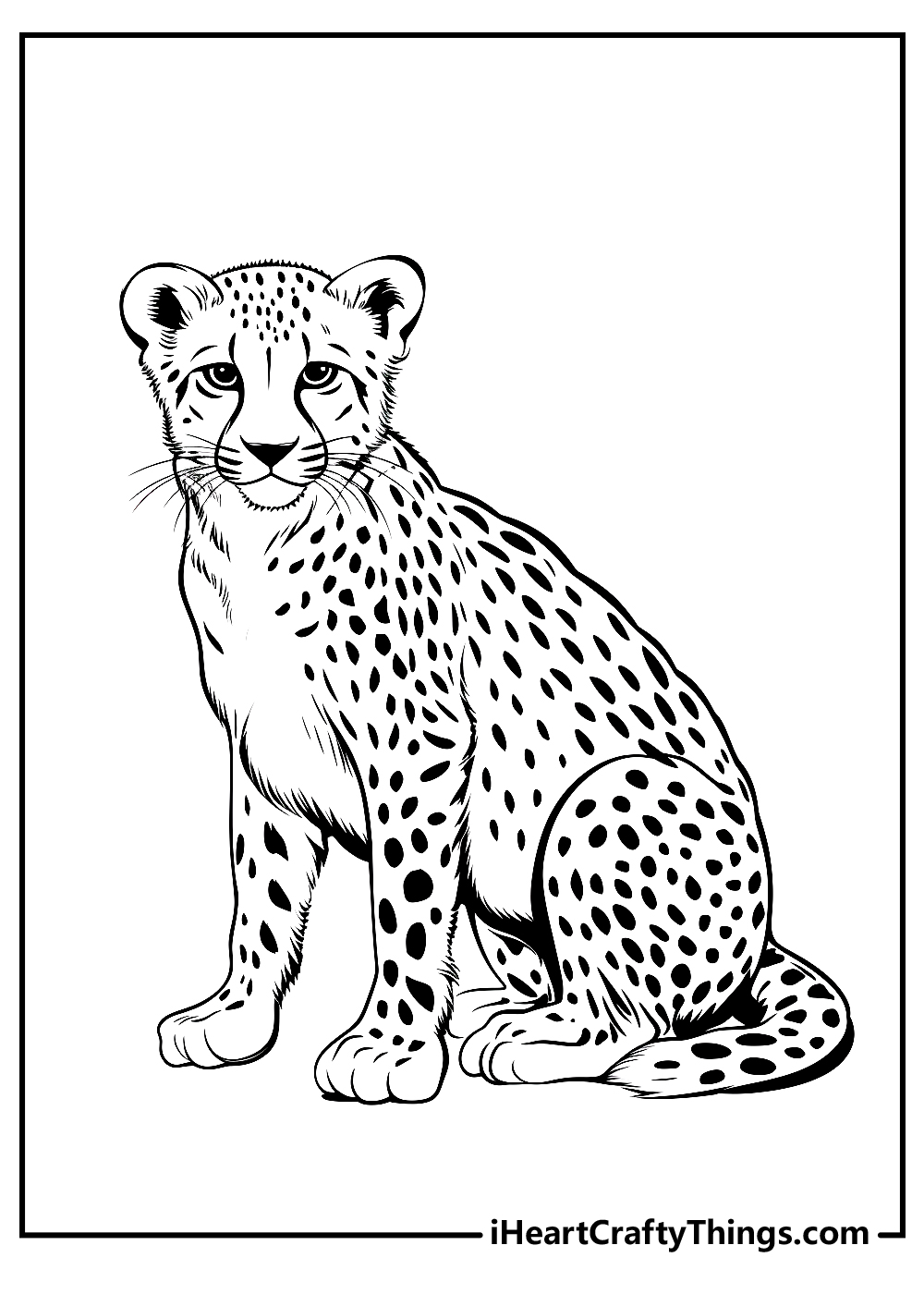 Cheetah coloring pages free printables