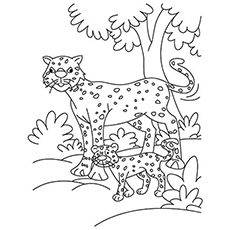 Best cheetah coloring pages for your little ones