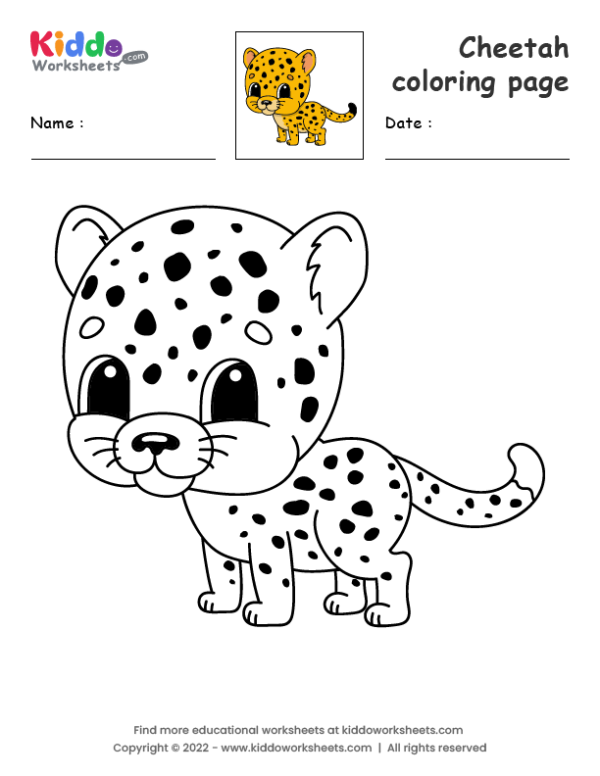 Free printable cheetah coloring page worksheet