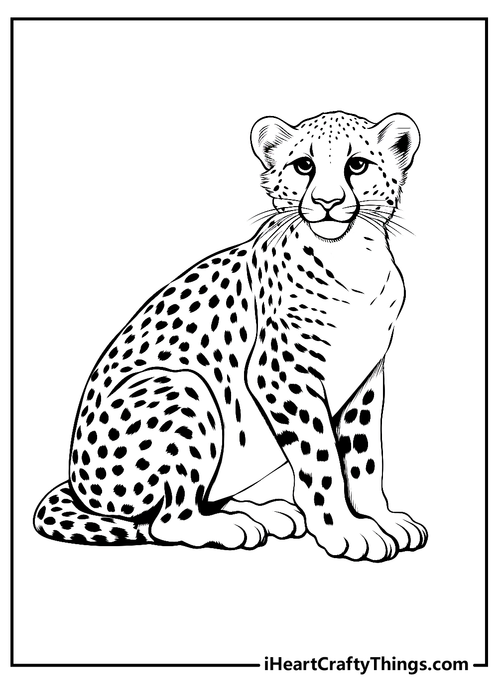 Cheetah coloring pages free printables