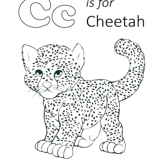 Cheetah coloring pages