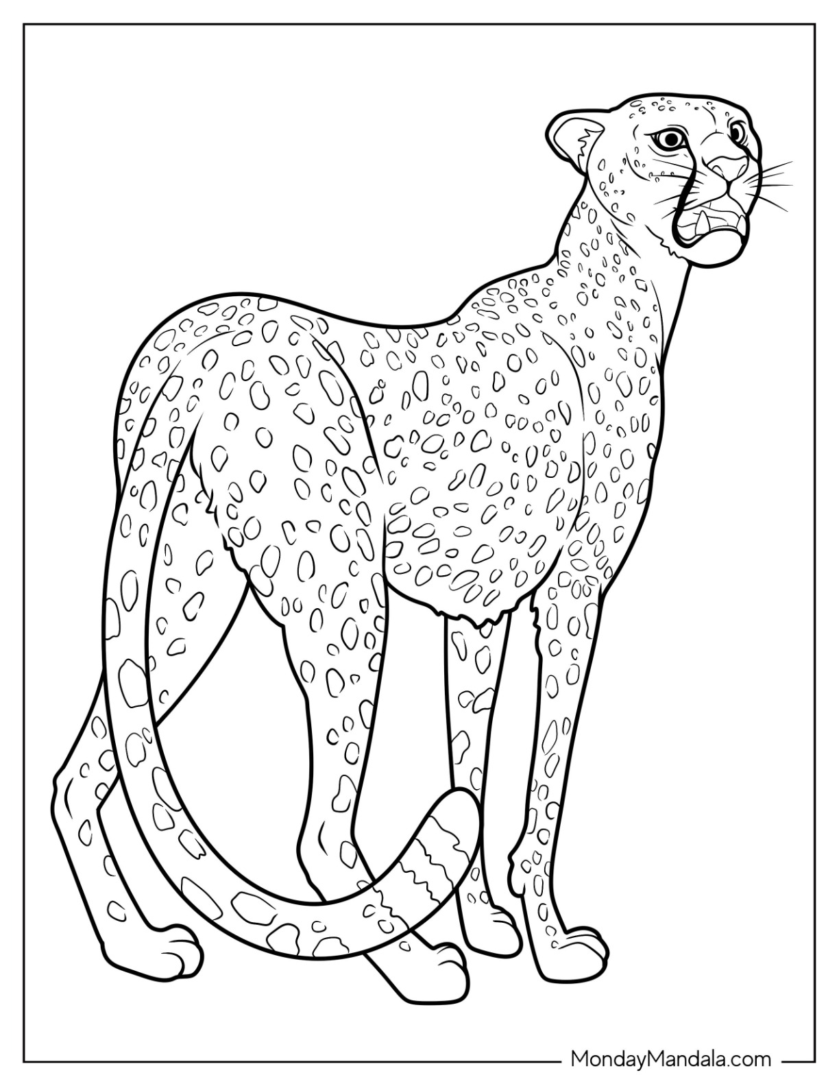 Cheetah coloring pages free pdf printables