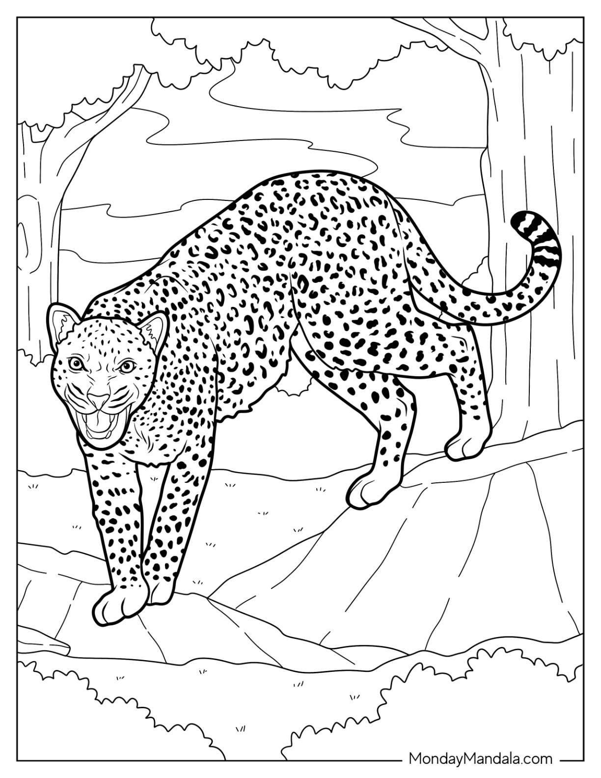 Cheetah coloring pages free pdf printables