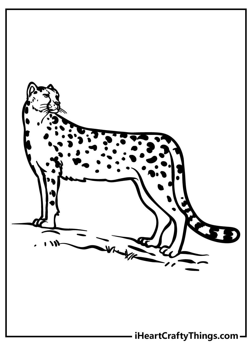 Cheetah coloring pages free printables