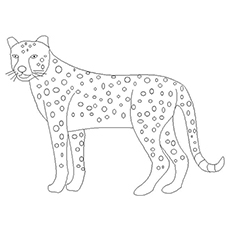 Best cheetah coloring pages for your little ones