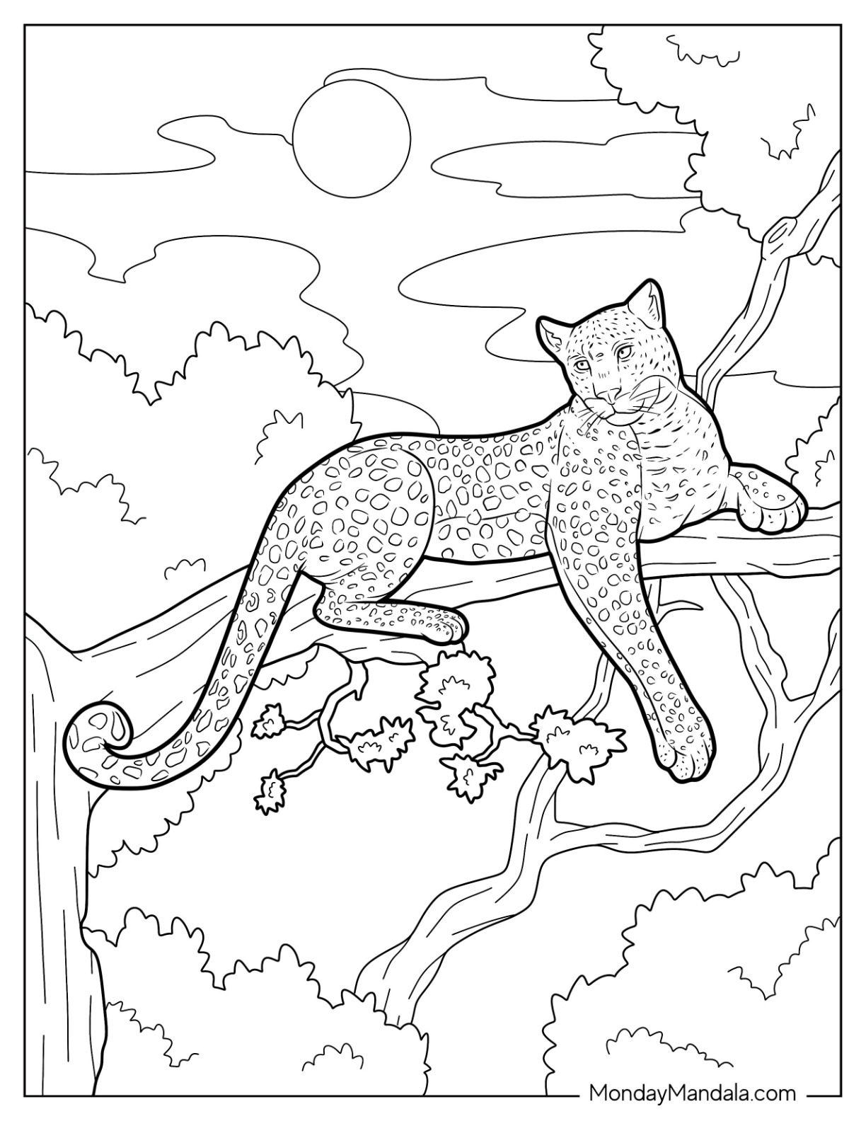 Cheetah coloring pages free pdf printables