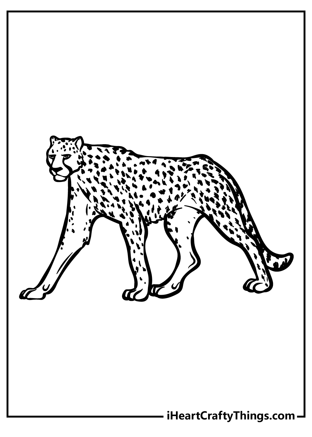 Cheetah coloring pages free printables