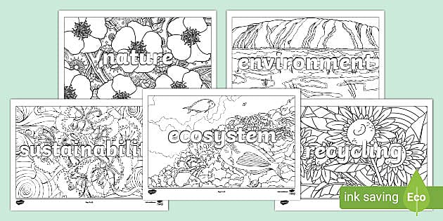 World environment day art mindfulness colouring