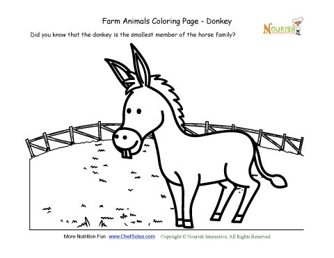 Farm animals coloring and fun fact page