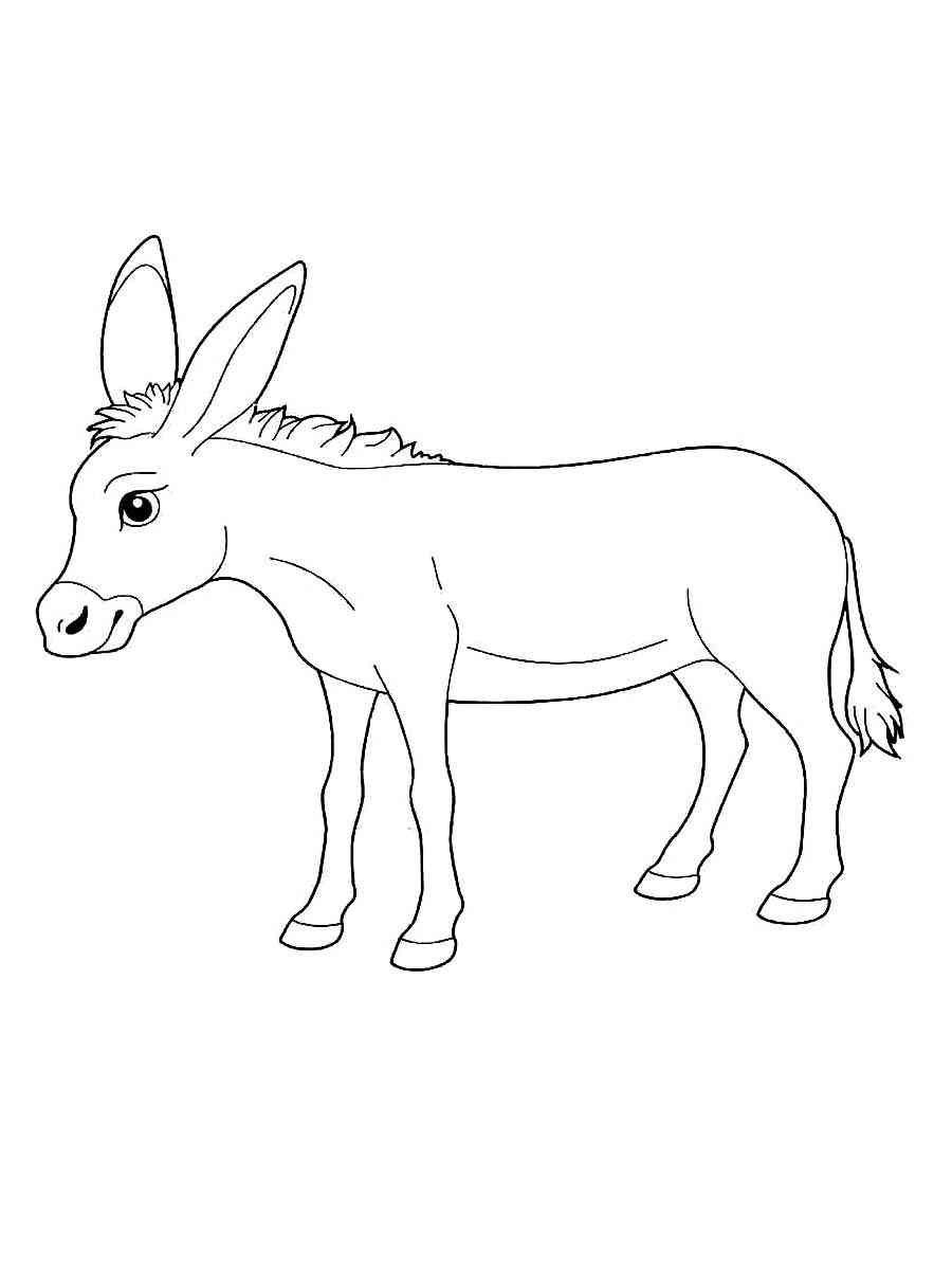 Donkey coloring pages animal coloring pages coloring pages black n white images