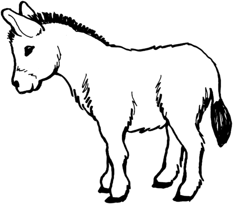 Donkey coloring page free printable coloring pages