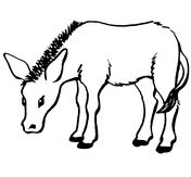 Donkeys coloring pages free coloring pages