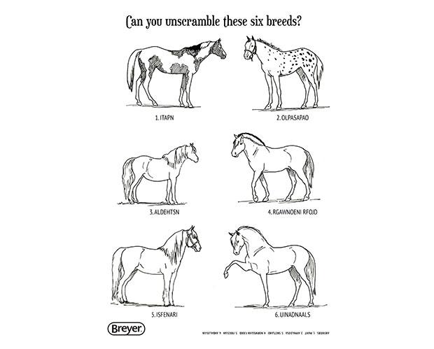 H is for horse includes coloring book