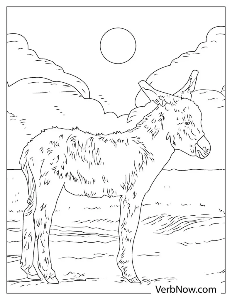 Free donkey coloring pages book for download printable pdf