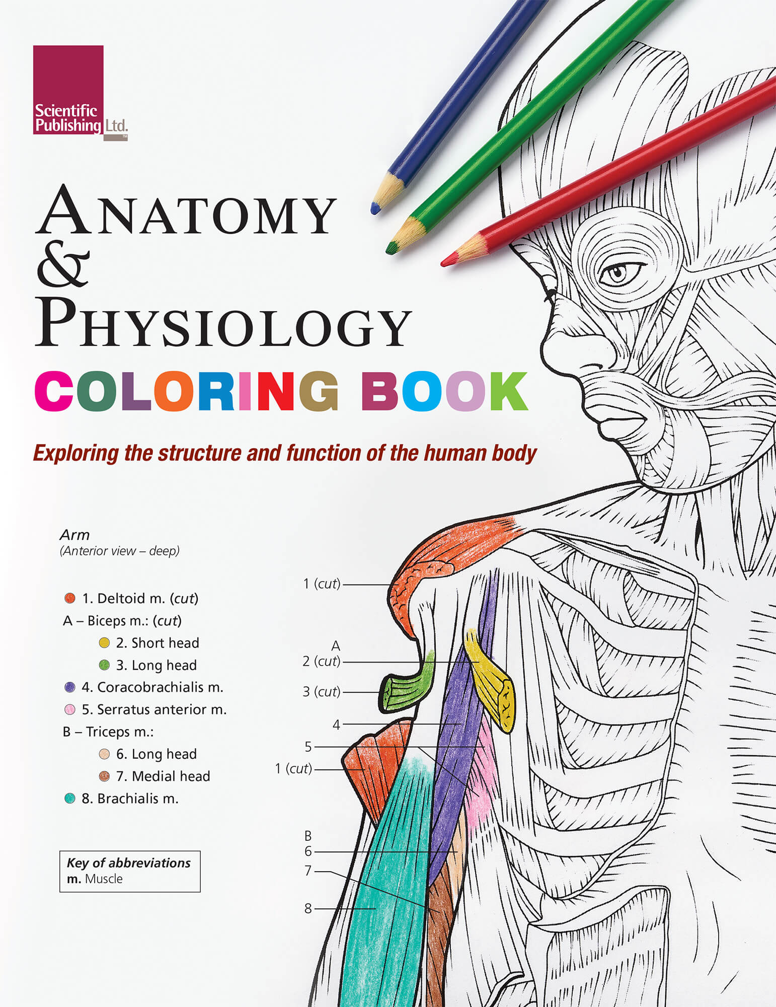 Anatomy physiology coloring book scientific publishing anatomy physiology coloring book anatomy physiology coloring book anatomy physiology coloring book