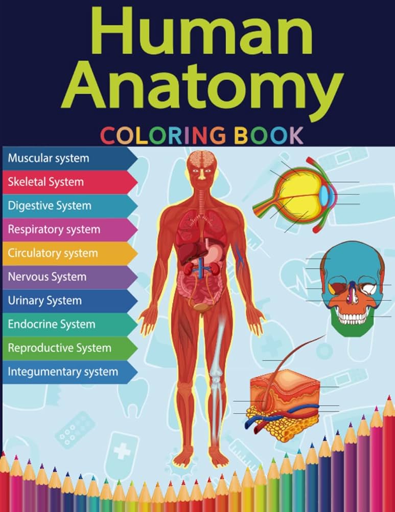 Human anatomy coloring book all human body systems with over fun facts a did you know coloring book williams mark books