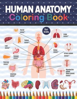 Human anatomy coloring book for kids an easier and better way to learn anatomy and kinesiology study an entertaining and instructive guide to the hu paperback aarons books