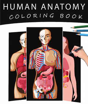 Human body anatomy system labeling coloring pages bundle activities made by teachers