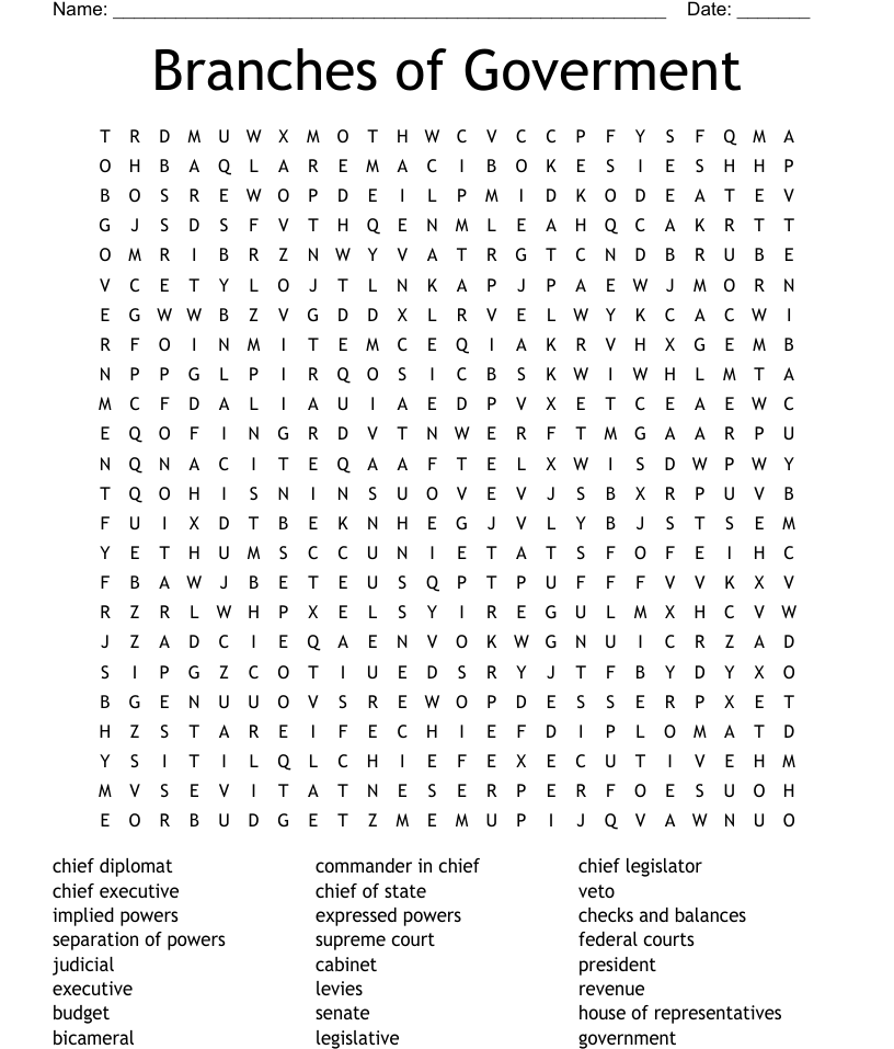 Government word search