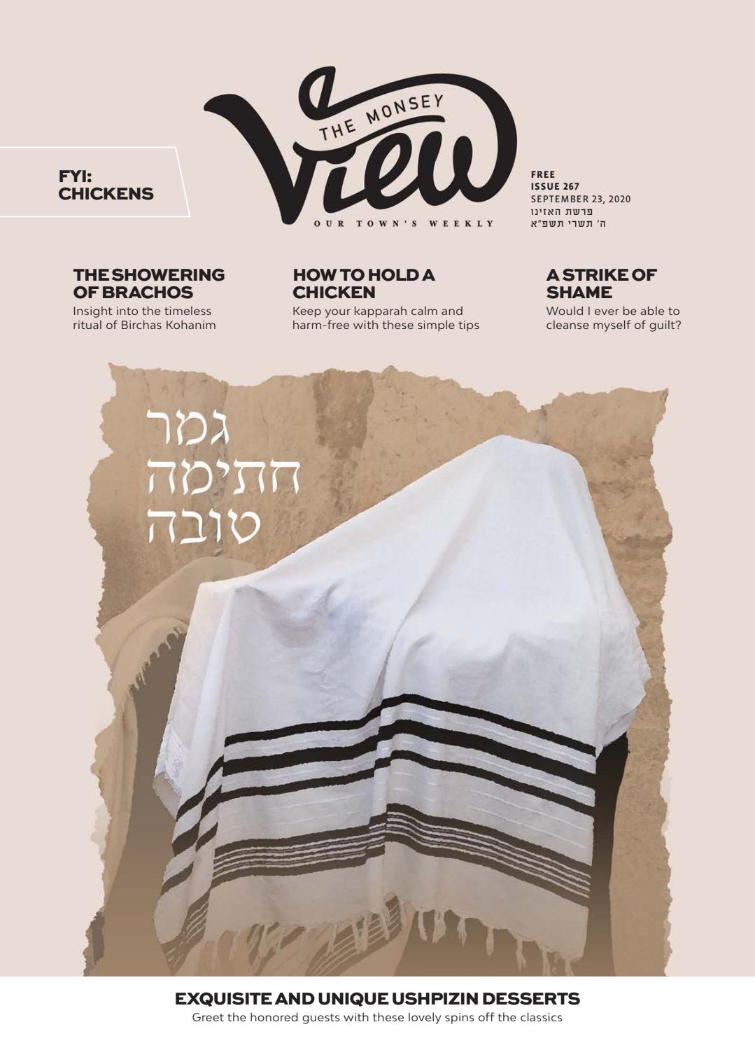 Issue by the monsey view