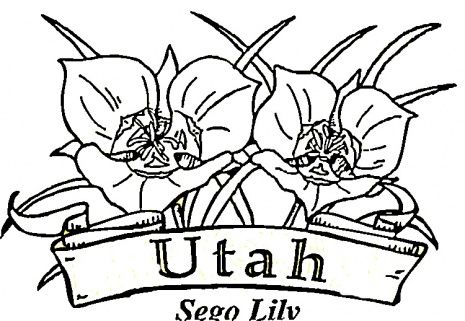 Flowers of utah coloring page super coloring flag coloring pages utah coloring pages