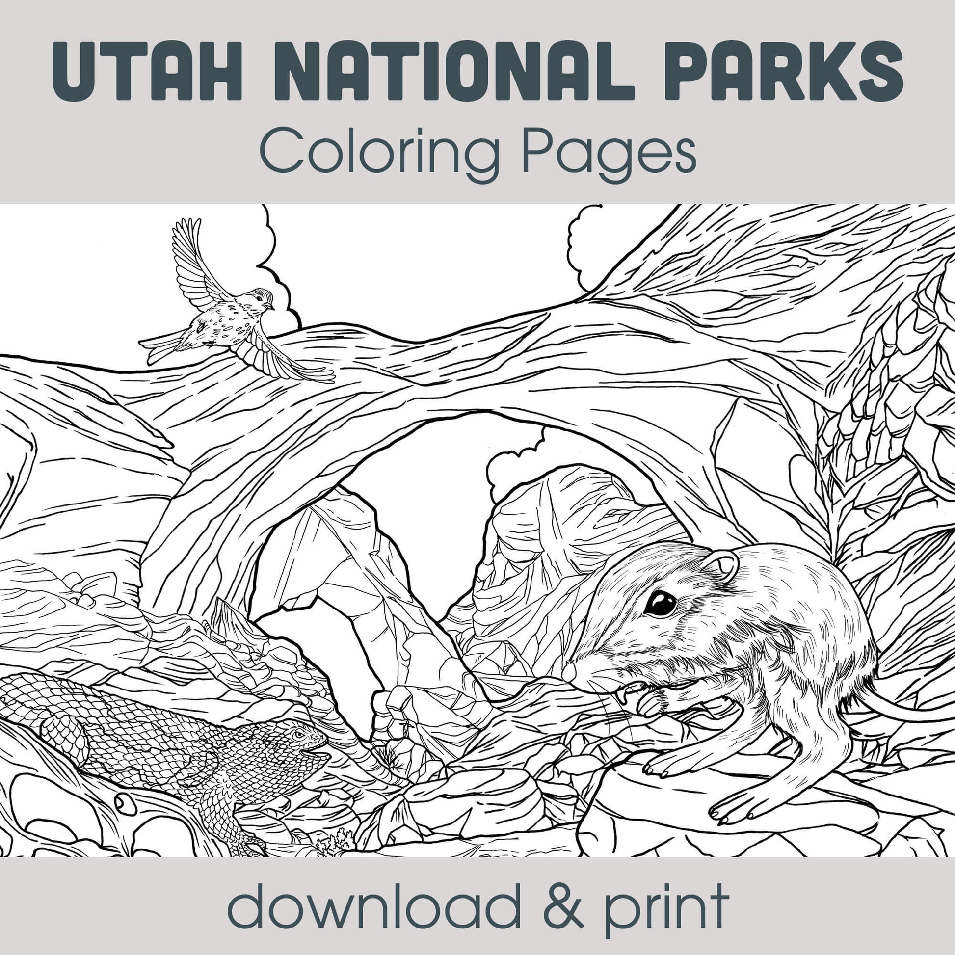 Utah big coloring page bundle â