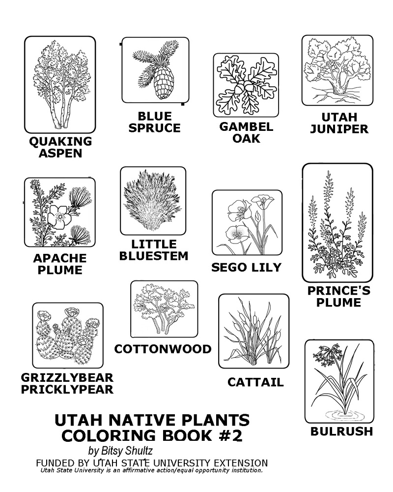 Utah native plant society home page