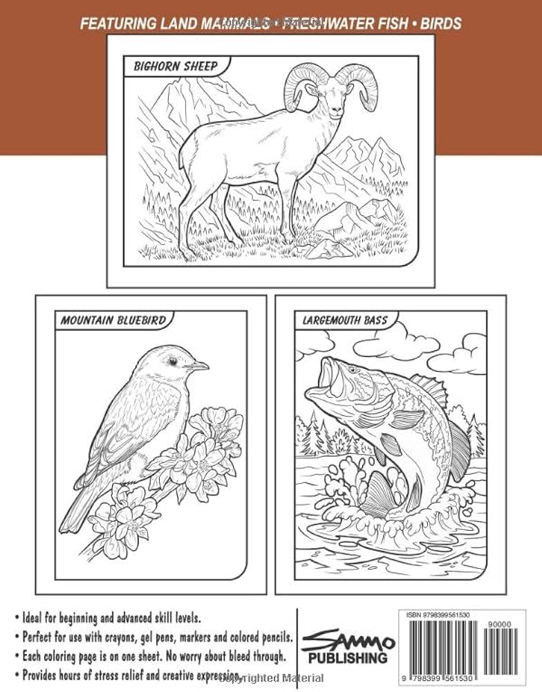 Wild animals of utah coloring book for kids teens adults featuring land mammals freshwater fish and birds to color morrison sam books