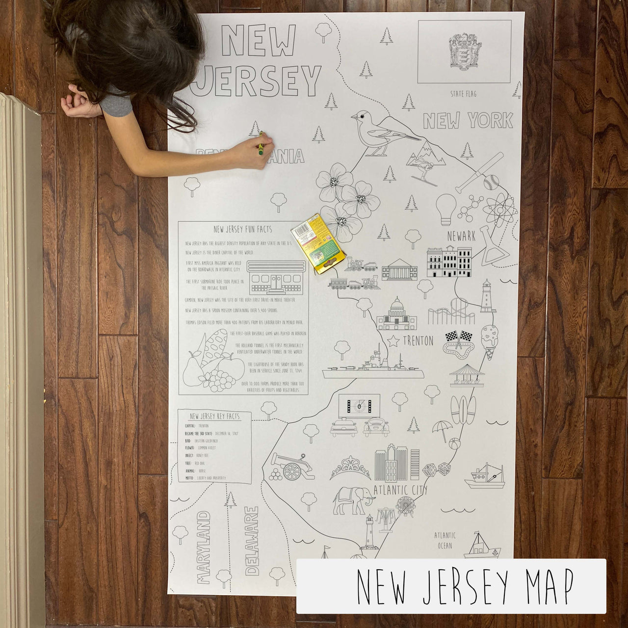 New jersey state map coloring sheet â