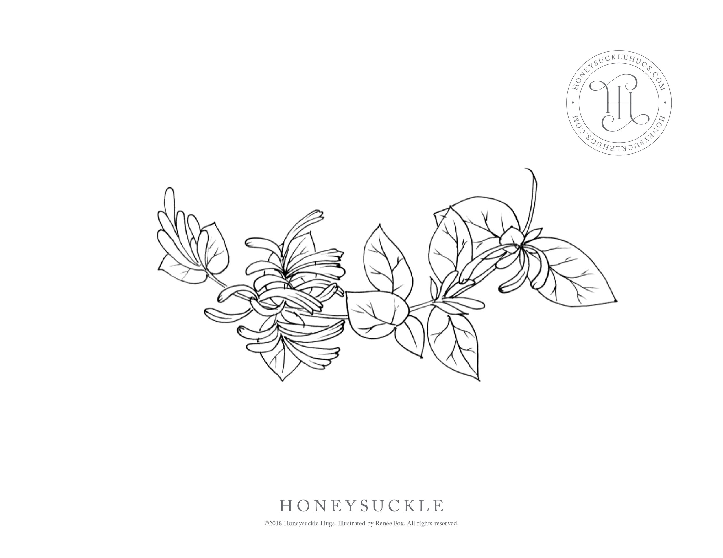 Free coloring pages â honeysuckle hugs