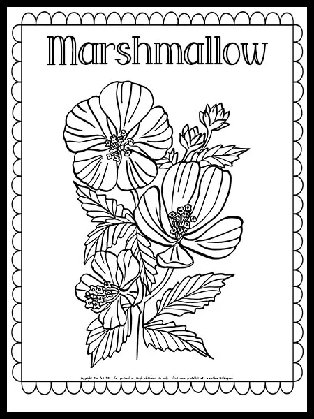 Marshmallow flower coloring page free printable â the art kit