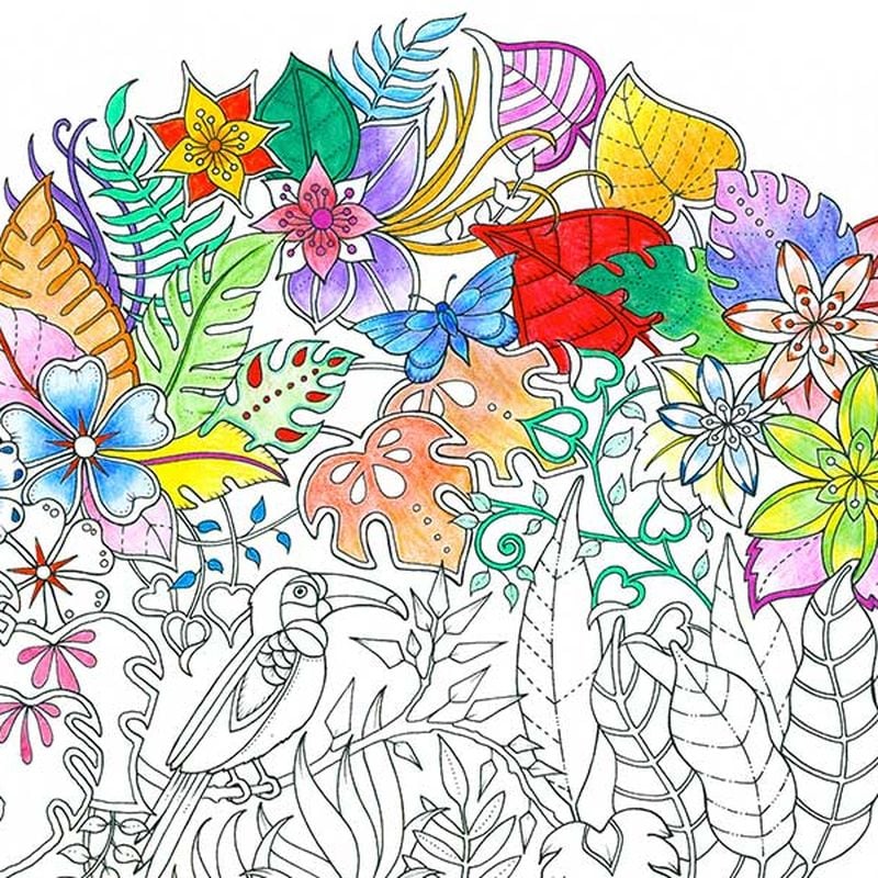 The artist who made coloring books cool for adults returns with a new masterpiece arts culture smithsonian magazine