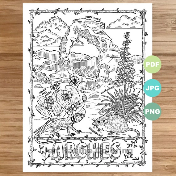 National park coloring page arches utah national park landscape art animal art plants wildflowers coloring page printable download now