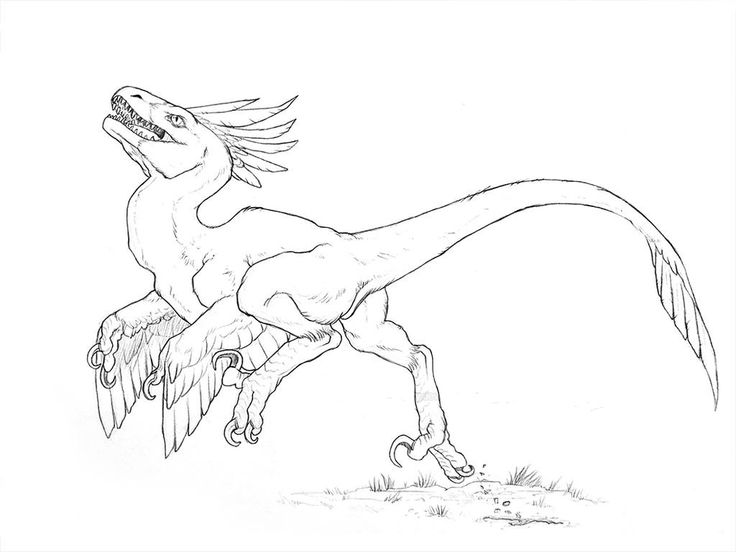 Best utahraptor coloring pages pdf to print