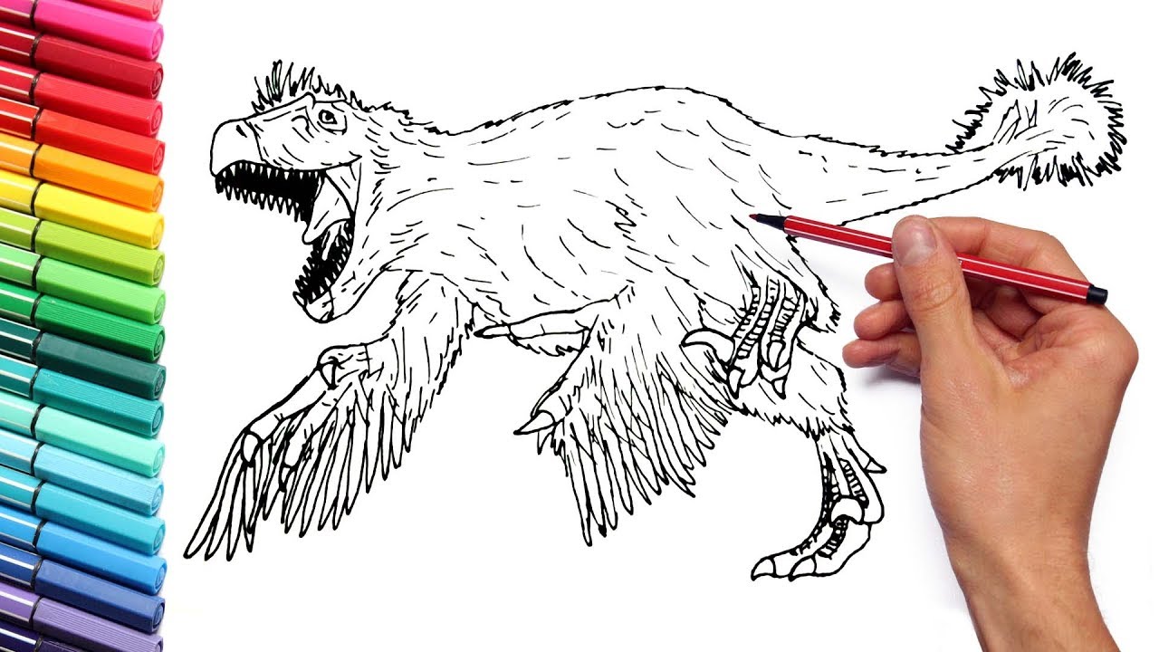 Drawing and coloring utahraptor